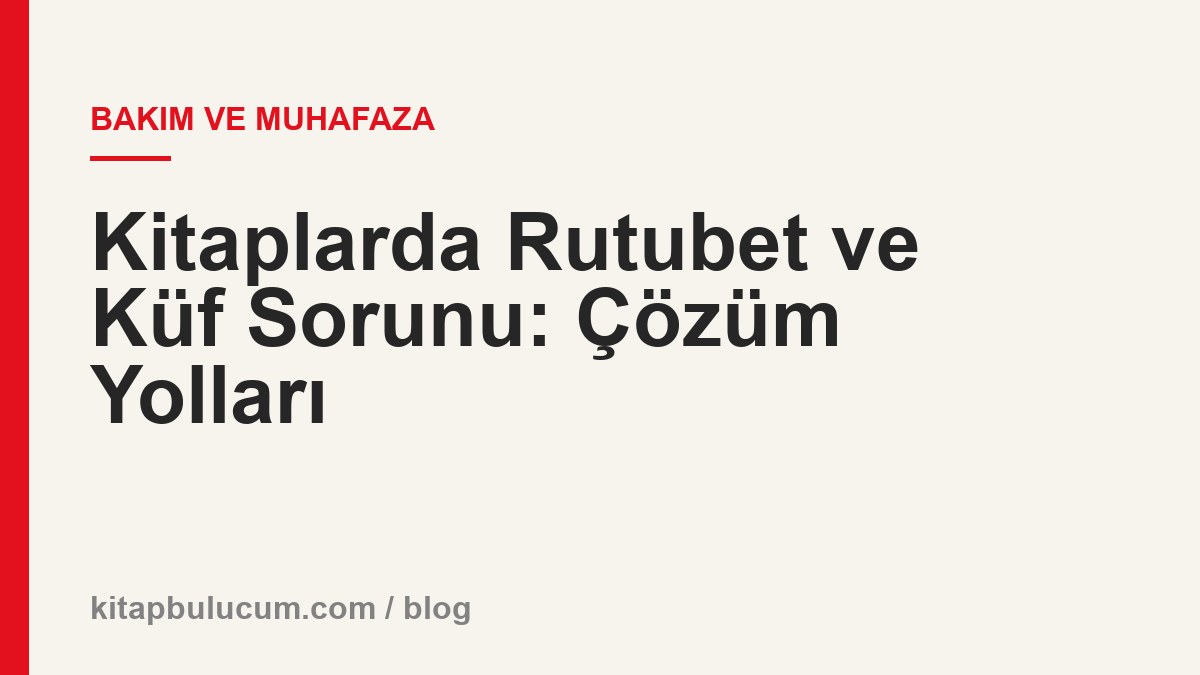 Kitaplarda Rutubet ve Küf Sorunu: Çözüm Yolları