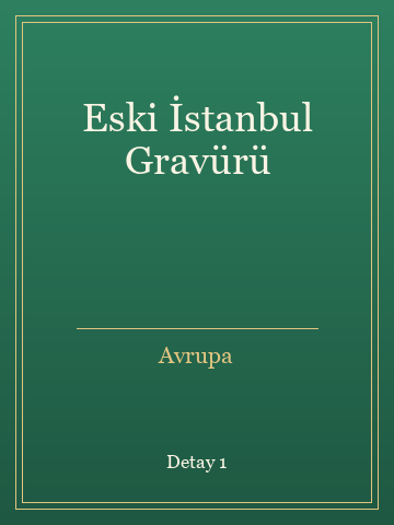 Eski İstanbul Gravürü kitap kapağı 2
