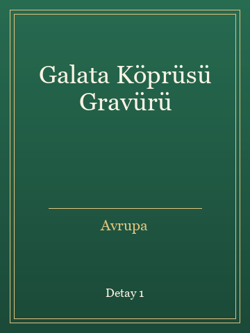 Galata Köprüsü Gravürü kitap kapağı 2
