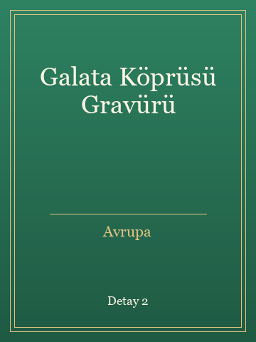 Galata Köprüsü Gravürü kitap kapağı 3