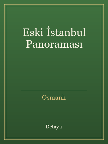 Eski İstanbul Panoraması kitap kapağı 2