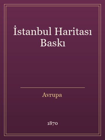İstanbul Haritası Baskı