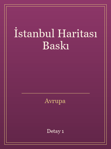 İstanbul Haritası Baskı kitap kapağı 2