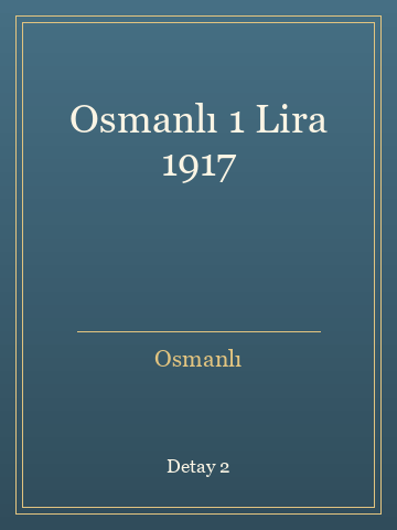 Osmanlı 1 Lira 1917 (Ciltli) kitap kapağı 3
