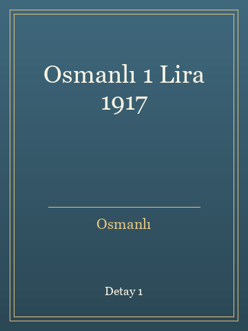 Osmanlı 1 Lira 1917 (Karton Kapak) kitap kapağı 2