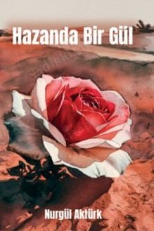 Evliya Çelebi Seyahatnamesi - Evliya Çelebi kitap kapağı 3