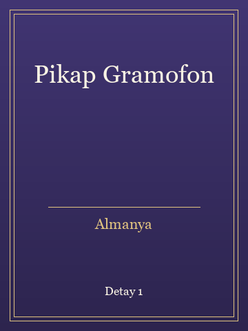 Pikap Gramofon (Temiz Nüsha) kitap kapağı 2
