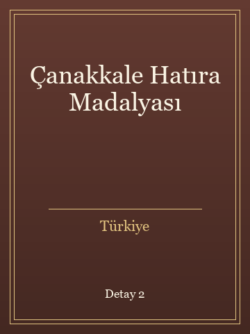 Çanakkale Hatıra Madalyası kitap kapağı 3