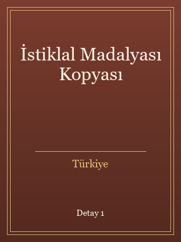 İstiklal Madalyası Kopyası (Karton Kapak) kitap kapağı 2