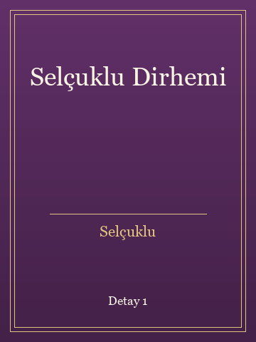 Selçuklu Dirhemi (Ciltli) kitap kapağı 2