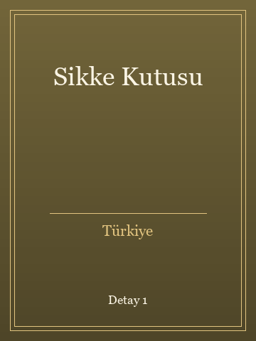 Sikke Kutusu kitap kapağı 2