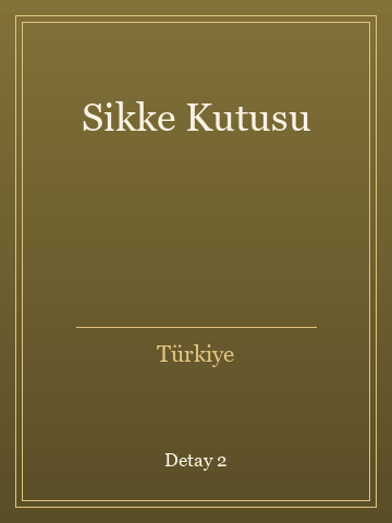 Sikke Kutusu kitap kapağı 3