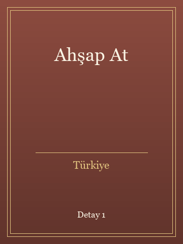 Ahşap At kitap kapağı 2