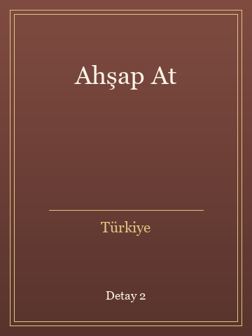 Ahşap At (Ciltli) kitap kapağı 3