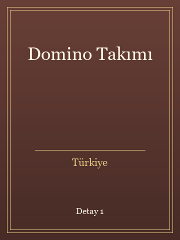 Domino Takımı (Karton Kapak) kitap kapağı 2