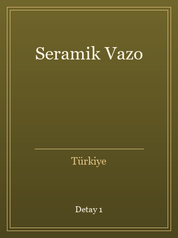 Seramik Vazo (Ciltli) kitap kapağı 2