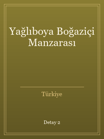 Yağlıboya Boğaziçi Manzarası (Karton Kapak) kitap kapağı 3