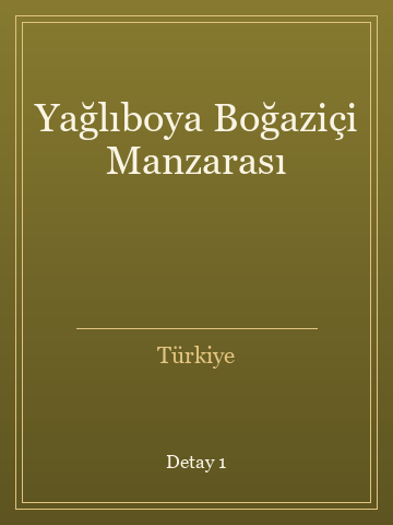 Yağlıboya Boğaziçi Manzarası (Temiz Nüsha) kitap kapağı 2