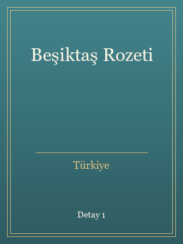 Beşiktaş Rozeti (Karton Kapak) kitap kapağı 2