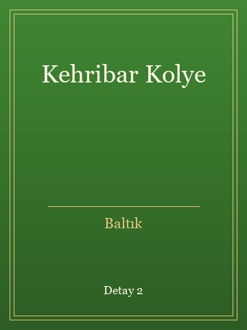 Kehribar Kolye (Ciltli) kitap kapağı 3