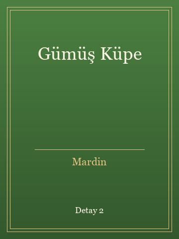 Gümüş Küpe (Ciltli) kitap kapağı 3