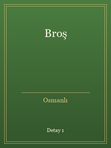 Broş (Karton Kapak) kitap kapağı 2