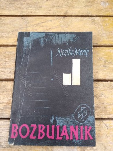 İçimizdeki Şeytan