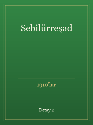 Sebilürreşad (Temiz Nüsha) kitap kapağı 3